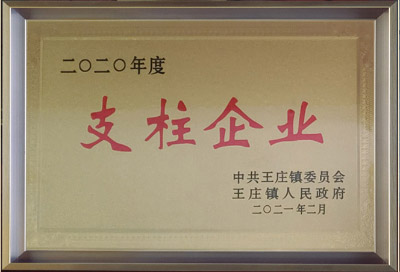 2020年度支柱企業(yè)